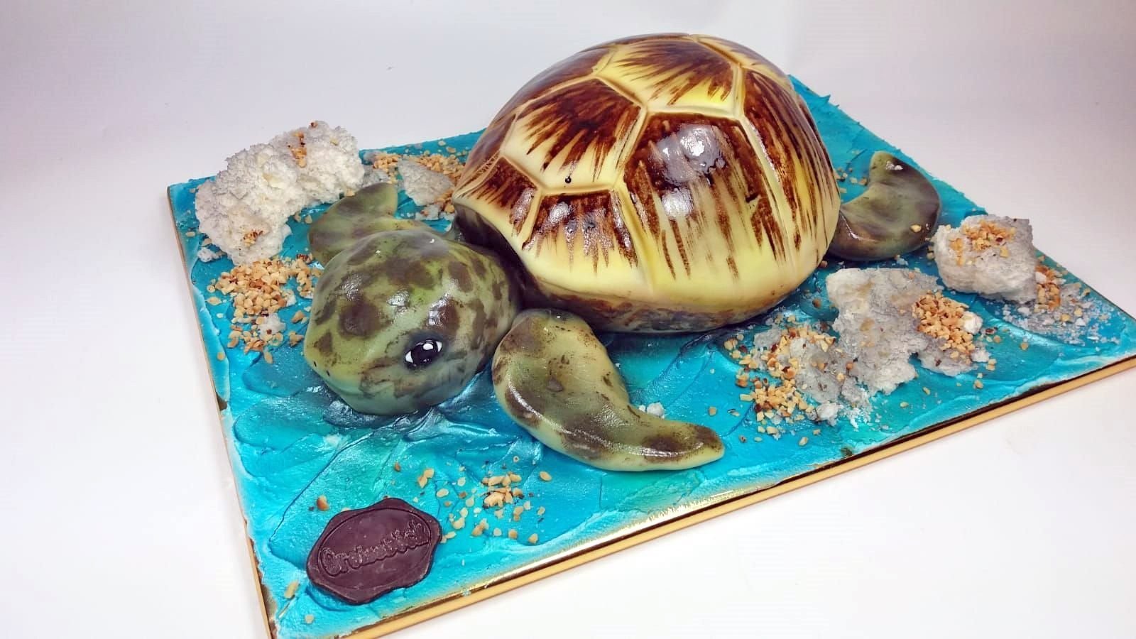 Schildkröte